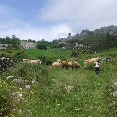 El Mirador Lavín