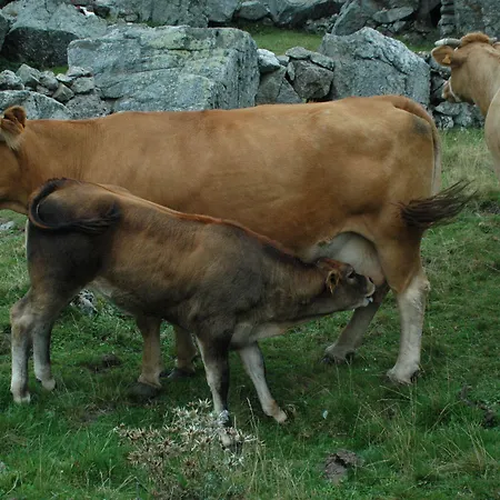 El Mirador 여관 2*