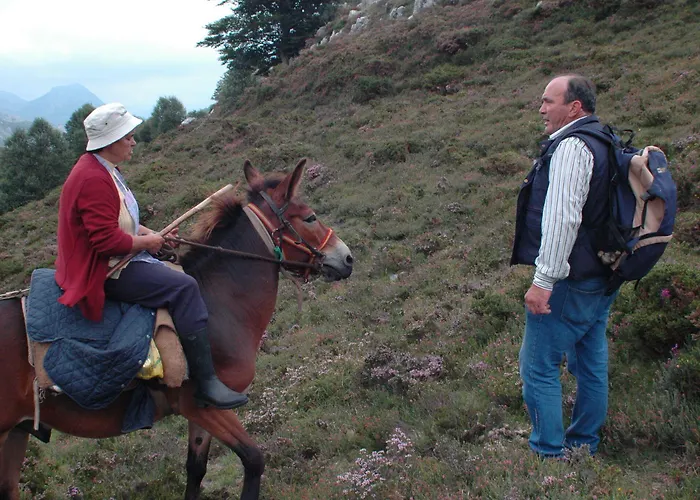 Fogadó El Mirador 2*