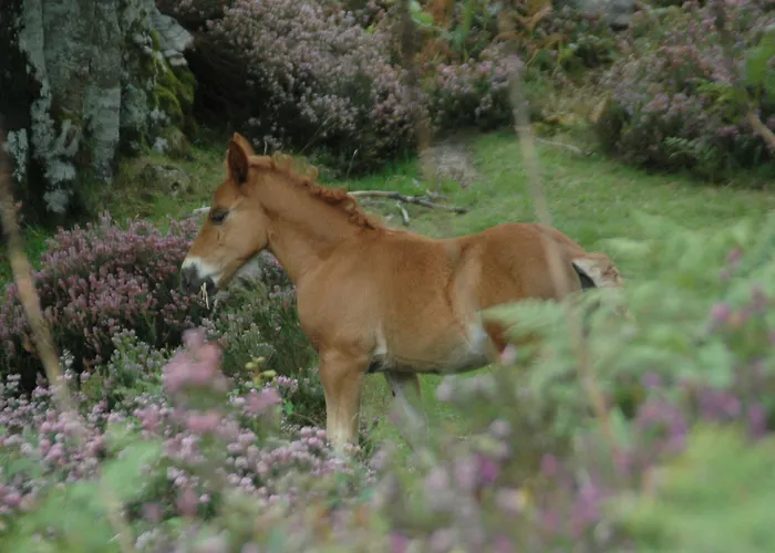 El Mirador 2* Lavín